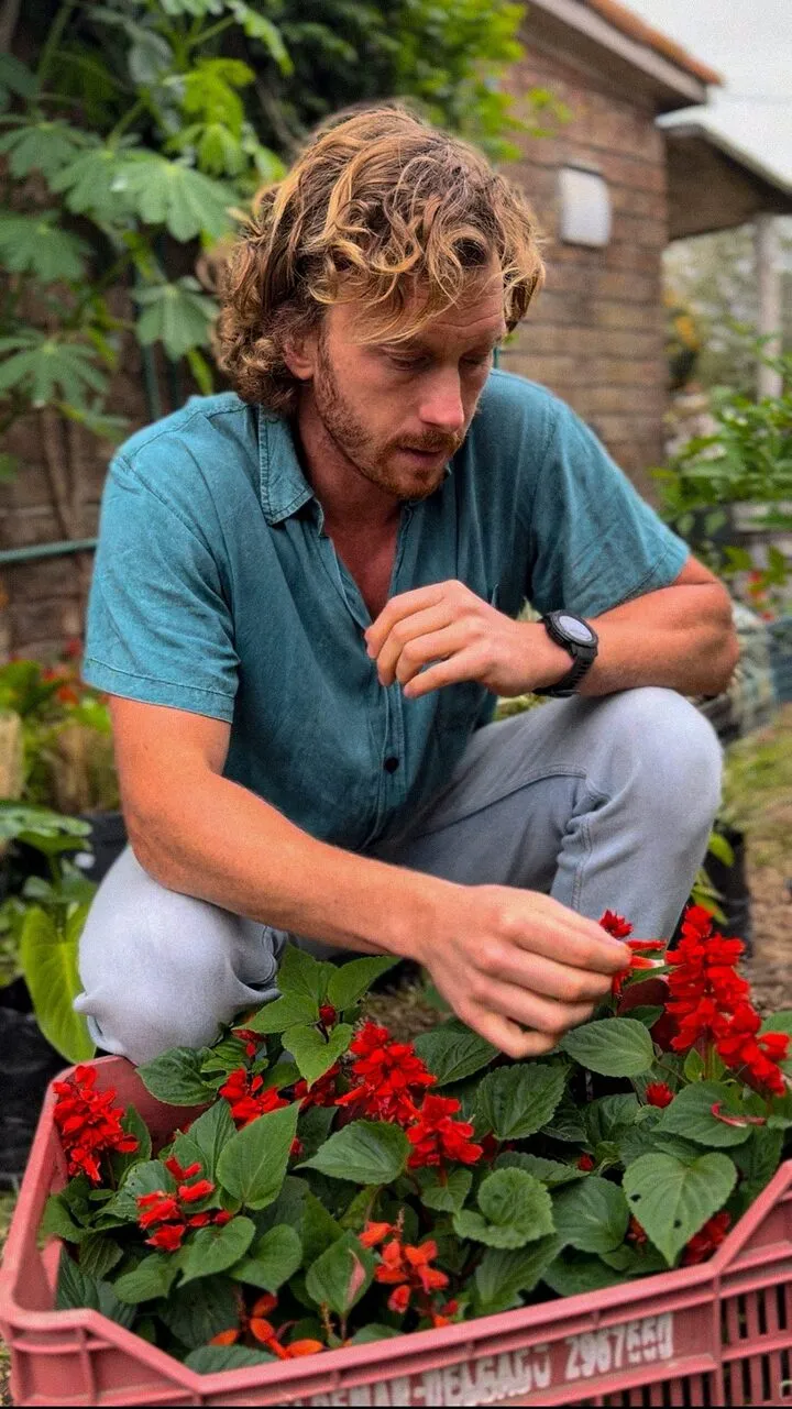Lolo Díaz, agachado en un vivero, revisa un cajón de salvias rojas antes de plantarlas